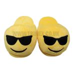 ASLIPPER2  COOL FACE PLUSH ADULTS SLIPPERS