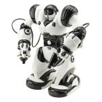 TT313 14” INCHES INFRARED REMOTE CONTROL 50 FUNCTIONS ROBOT