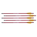 AA 5X Bolts Red - Image 1