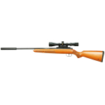 Winchester Model 55RS Air Rifle with moderator .22 - Image 1