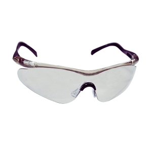 BB Airsoft Goggles