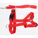 Nylon Adjustable Dog body harness with 1.2M lead - Image 1