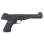 Gamo P-900 Pistol, Match Pellets, Target Box Set - Image 1