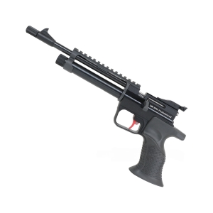 pistol